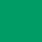 E Colour #089 Moss Green (48 x25  Roll)