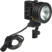 ViP Pro Light (120VAC 12VDC)