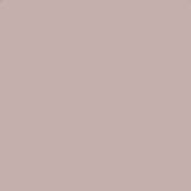 2 x 2  812 Warming Filter