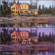 3 x 4  1 Grape Solid Color Filter