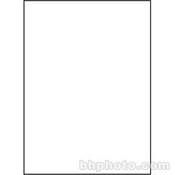 Impression Muslin Background   10x15    Solid White