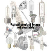 EXV Lamp   100 watts 12 volts
