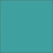 Permacolor Glass Filter   Fern Green   8 1 4  Round