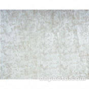 Europa Muslin Background   10x20    Murano