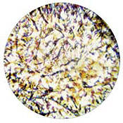 Glass Gobo #56201 (Blue, Lavender, Yellow) (Size B = 86mm)