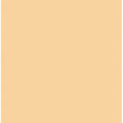 #3442 1 2 Straw CTS Fluorescent Sleeve T12 (48 )