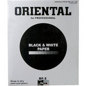 Seagull GF 2 Black & White Graded #2 Fiber Base Double Weight Glossy Paper   20 x 24 (10 Sheets)