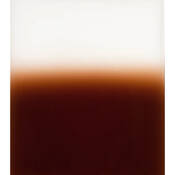 X Pro 125 Graduated Tobacco T2 Resin Filter