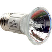 Lamp   100 watts 120 volts   for L Light