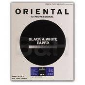 Seagull Black & White Graded #4 RC (Resin Coated) Matte Paper   8 x 10 (20 Sheets)