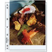 810 2P Archival Storage Page for 2 Prints (8 x 10 , 25 Pack)