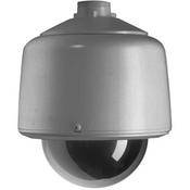 DF5 PG E0 5  Outdoor Gray Pendant Fixed Mount Dome (Smoked)