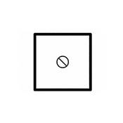 Intenscreen Focusing Screen for Hasselblad 200 and 500 Series Cameras   Matte with Diagonal Split Image