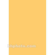 Acrylic Panel #3751   Roscolex 1 2 CTO   4x8