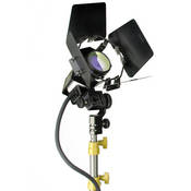 LS2 10 L Light with Stand Link and Bulb (120V AC)
