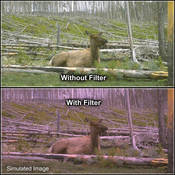 3 x 4  1 Plum Solid Color Filter