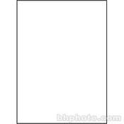 Impression Muslin Background   10x10    Solid White