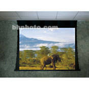 118179 Ultimate Access Series V Motorized Front Projection Screen (50 x 50 )