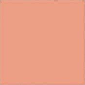 GC328  GamColor Colored Cine Filter #328 (Tan Tone) (20x24  Sheet)