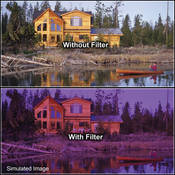 4 x 4  2 Grape Solid Color Filter