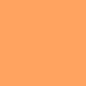 #316 Gallo Gold Fluorescent Sleeve T12 (48 )