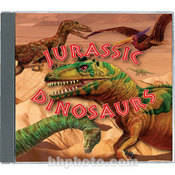 Sample CD: Jurassic Dinosaurs   Dinosaurs, Aliens, Fairies and Robots   1 CD Audio