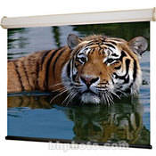 206008 Luma 2 Manual Front Projection Screen (9x9 )