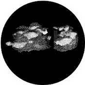 Standard Steel Gobo #7831   Stratus