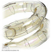 Flashtube, UV Coated   6400w s   for Pulso 8, 606, Pulso 8 Hazy Heads