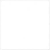 GC1505  Clear Polyester #1505 (20x24  Sheet)