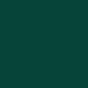 E Colour #327 Forest Green (21x24  Sheet)