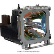 CPS830LAMP Projector Replacement Lamp   for CP S830 Projector