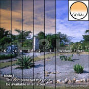 3 x 3  2 Coral Soft Edge Graduated Filter