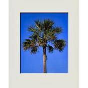 Mat   Fits Gallery and Presentation Frames, 16x20  with 11x14  Opening, Antique White with Bevel   Centered