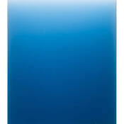 A123F Blue Graduated B2 Full Resin Filter