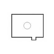 Intenscreen for Pentax PZ 1   Plain Matte
