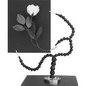 Dual Arm, Triple Clamp, Base and Plate