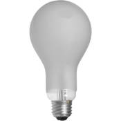 ECT Lamp (500W 120V)