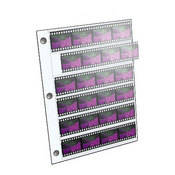 Archival Plus Negative Page, 35mm, 6 Strips of 4 Frames   100 Pack