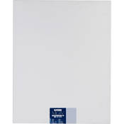 Multigrade IV RC Deluxe MGD.44M Black & White Variable Contrast Paper (11 x 14 , Pearl, 250 Sheets)