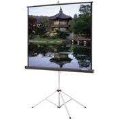 40114 Picture King Tripod Front Projection Screen (50x50 )