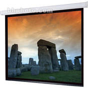 Targa Motorized Projection Screen (8x10 )