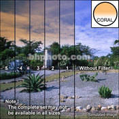 3 x 3  4 Coral Soft Edge Graduated Filter