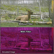 6.6 x 6.6  3 Plum Solid Color Filter