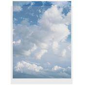 20 x 24  Print Protector (100 Pack)