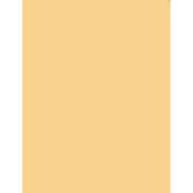 5 x 6  4 Coral Solid Color Filter