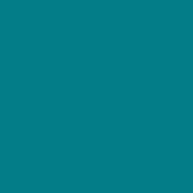 E Colour #219 Fluorescent Green (21x24  Sheet)