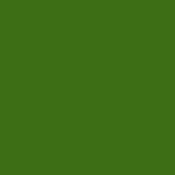 2 x 2  #56 Light Green Filter