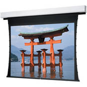 Advantage Deluxe Tensioned Motorized Rear Projection Screen (52x92 )