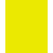 4x5.65  Yellow 2 #8 Glass Filter for Black & White Film